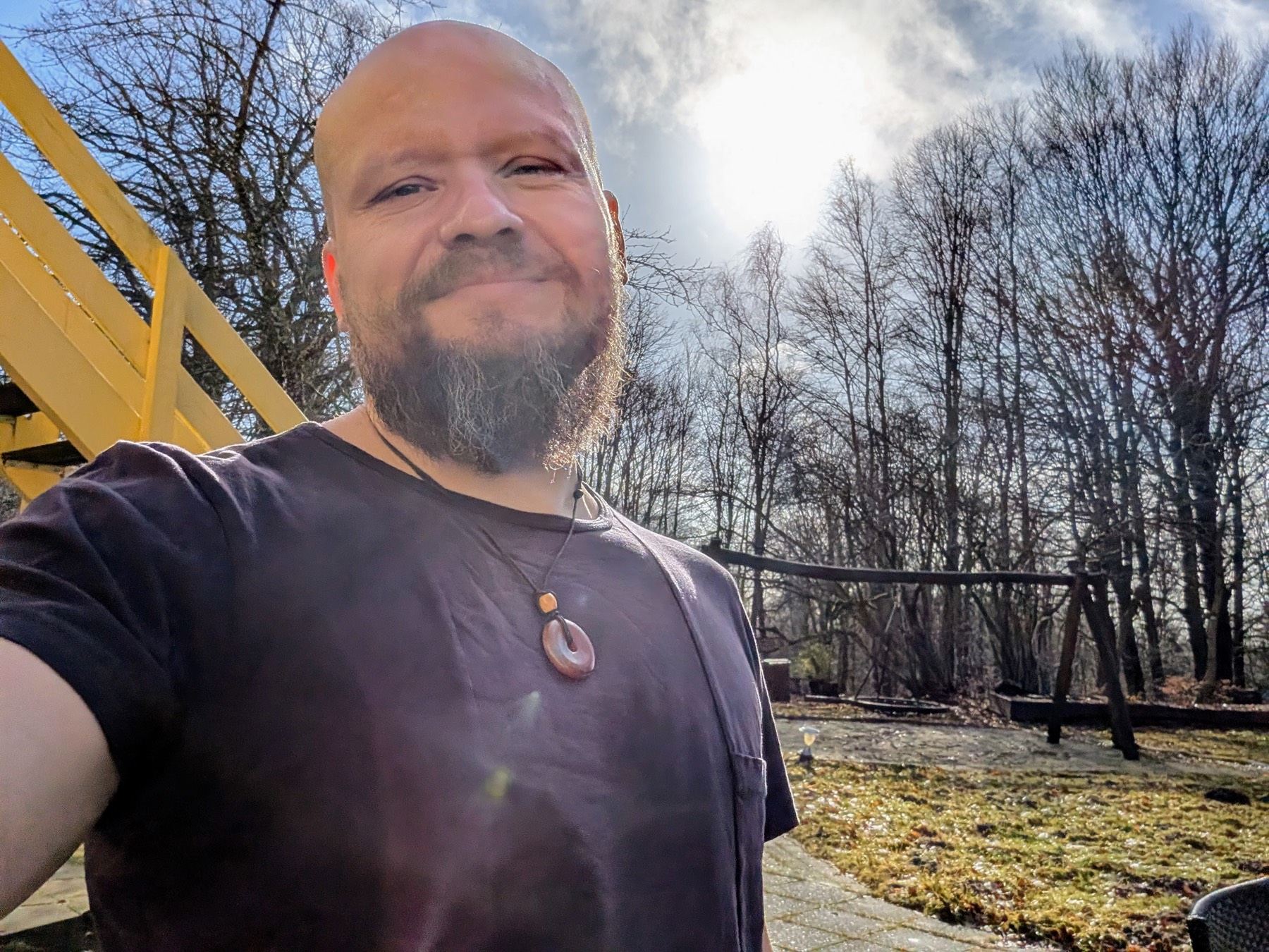 Sol genom träden